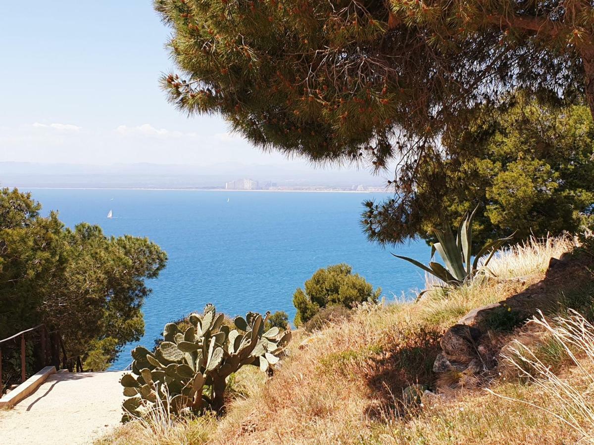 Studio Calme Avec Parking Et Ascenseur -304- Canet-en-Roussillon Ngoại thất bức ảnh